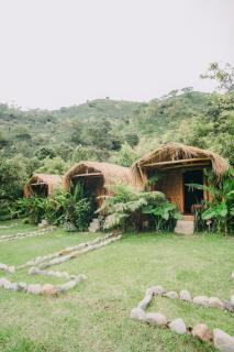 Pradera Ecoliving - Betania - 7