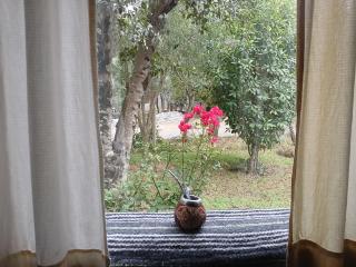 El Rosedal - Bariloche - 5