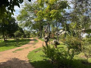 Podocarpus cottages - Naro Moru - 9