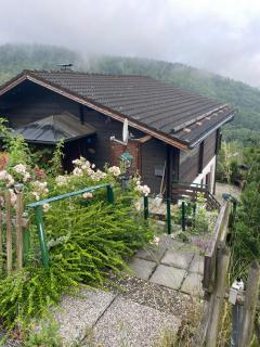 Ferienwohnung mit wildromantischem Kamin und rustikalem Charme - Schöfweg - 9