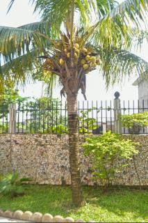 Vicky Appartements Palmengarten Douala Maképè Belavie - 6