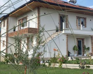 Mosaic Guesthouse - 3