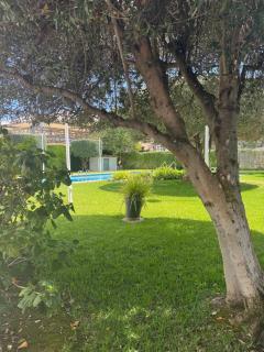Albir Adventino LOVE - Albir - 9