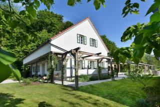 Pri Mimiki - Luxury Country House & Spa near the Wine Road - Kamnica - 9