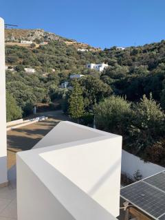 Αρχόντισσα - - 5