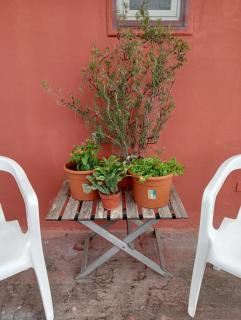 Il Gatto e Pirouette - 5