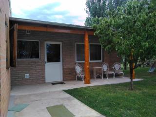 Los cipreses - 1
