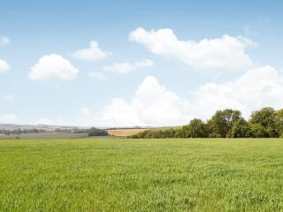 Just Janes Hangout - Miningsby - 1