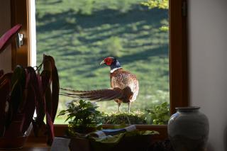 Val Lachard - Villard-de-Lans - 3