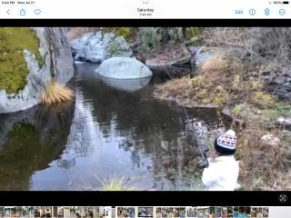 Shady Creekside Cabin - Miramonte - 9