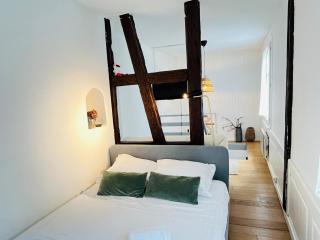 Loft Strasbourg proche Petite France - Straßburg - 2