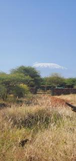 Oldonyo Musa Amboseli Campsite - 2