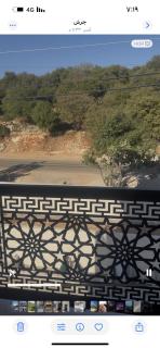 فيلا مفروشه ومزرعه للايجار - 1