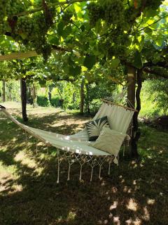 Viña da Igrexa, casa con jardin y barbacoa en cambados - Cambados - 3