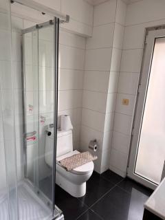 Bello departamento Stgo centro - 3