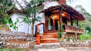 Batu Kapal Guest House & Jungle trekking - Bukit Lawang - 5