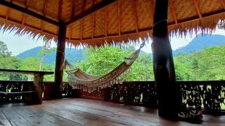 Batu Kapal Guest House & Jungle trekking - Bukit Lawang - 6