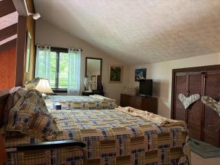 Serenity at Beech Mountain - Beech Mountain - 7