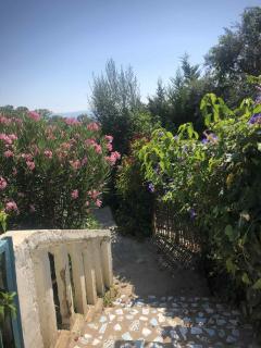 Jardin secret de wahida - Tabarka - 8