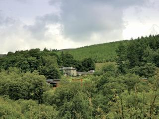 Kielder Cottage Spa - E3533 - Kielder - 2