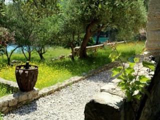 Secluded fisherman's cottage Cove Sveti Ante, Hvar - 24817 - 5