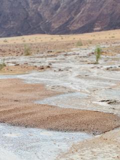 Wadi Rum Moon & Tours - Wadi Rum - 5