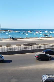 بحر مباشر ميامي خالد بن الوليد - Alexandria - 0