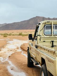 Wadi Rum Moon & Tours - Wadi Rum - 8