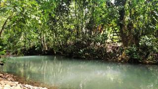 Ecocio Jungle Hostel - Coron - 7