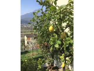 1-bedroom apartment - Losone - 5