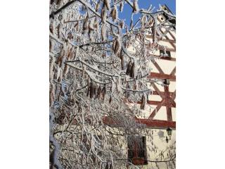 Half-timbered house from 1708 - Deining - 9