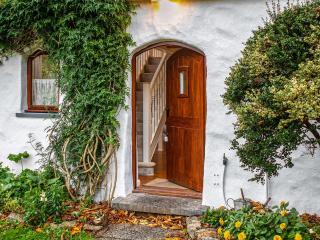 Wisteria Lodge - Cottage - Cilgwm - 1