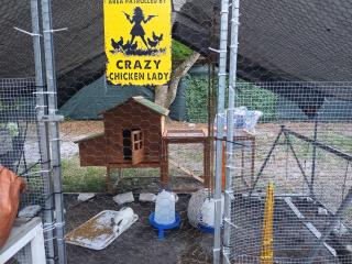 Tiny home barn style in backyard with Animals - Orlando - 8
