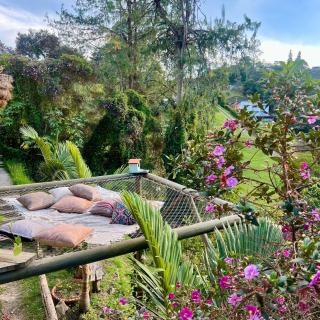 Ecohotel campestre Rionegro-A 20 minutos del aeropuerto - Rionegro - 0