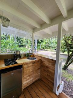 Ecolodge Mata Api Bungalow Ylang-Ylang - Mataiea - 4