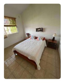 Casa con alberca en tlayacapan Morelos - Oaxtepec - 6