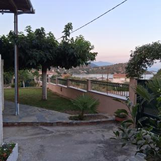 Golden view - 8