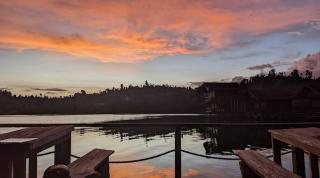 Logbond Cozy Guesthouse - - 1