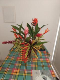 Maison charmante à Rivière-Pilote avec vue sur la montagne - 9