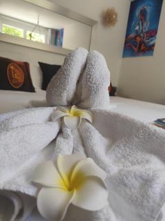 Ile des Plaisirs, Chambres d'Hôtes Naturistes avec Petit-Déjeuner Tropical Inclus - 4