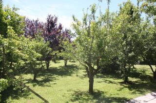 Tenuta Lio Maggiore - Lido di Jesolo - 8