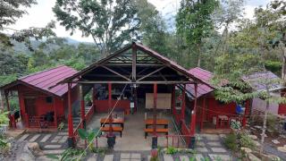 Happy Monkeys Village - 8