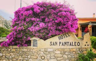 Hotel San Pantaleo - San Pantaleo - 9