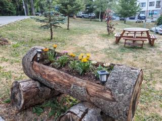 Mountain studio ASP E63 Borovets Gardens - Borowez - 7