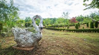 Guest House Hodak - 5