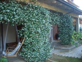 B&B Luce Riflessa - Perugia - 9