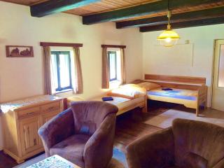 Penzion Pod Lesem - Hodkovice - 9