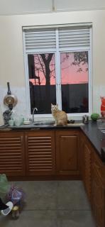 Jean's holiday home in digana - Digana - 4