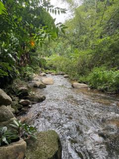 Brookside Nest- Lower Floor - Ban Huai Kaeo - 9