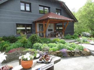 Ferienwohnung an der Lay - Bach - 9
